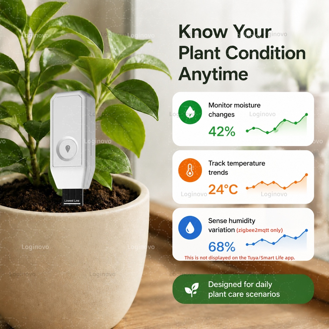Tuya Zigbee Soil Moisture Test - Home Automation Technology ulasan dan harga
