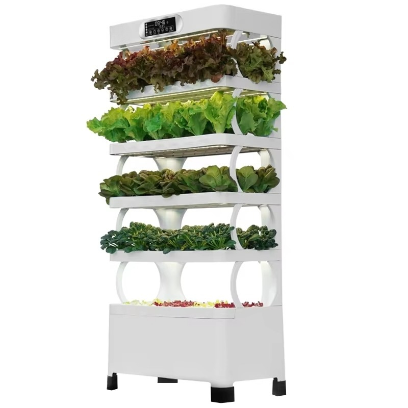 Hydroponic Automated Grow Syst - Diy Automation ulasan dan harga